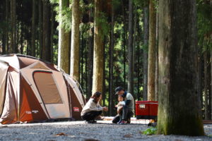 静かな木々に囲まれながら♫ 西之谷 ふれあいの森キャンプ場