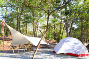 アクセス良しのグランピング＆キャンプ施設🎵 杜のテラス