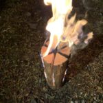 一風変わった焚き火🔥スウェーデントーチの実際