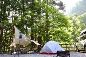多彩なサイトで楽しむ♪ ファミリーオートキャンプ場いのせ