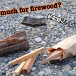キャンプ場の薪は高いのか? 山に入って薪を自作してみた。
