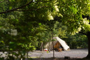 十津川の隠れ家的フィールド。あさひキャンプ場